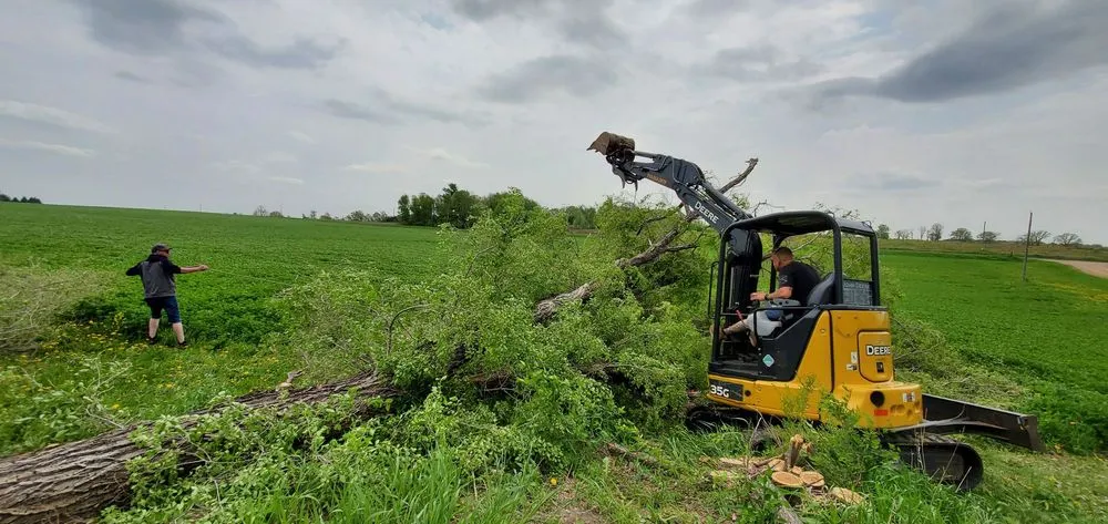 Top-rated lawn mowing service in Amery, WI - Johnson's Tree and Landscape LLC