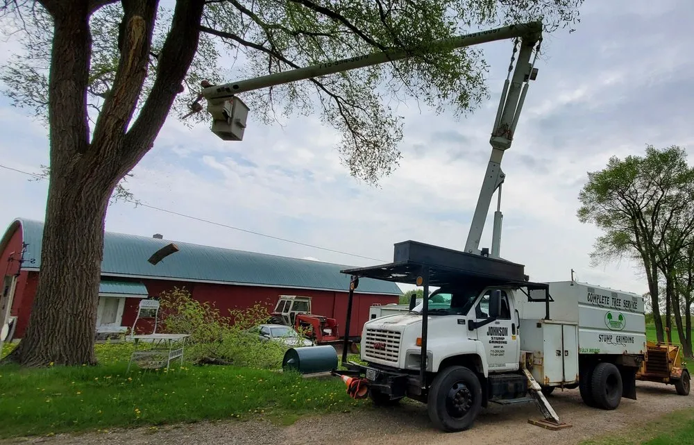 Professional yard cleanup service for outdoor upgrades across Amery, WI - Johnson's Tree and Landscape LLC
