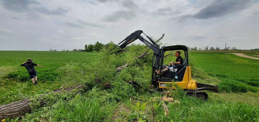 Expert residential landscaping in Amery, WI - Johnson's Tree and Landscape LLC