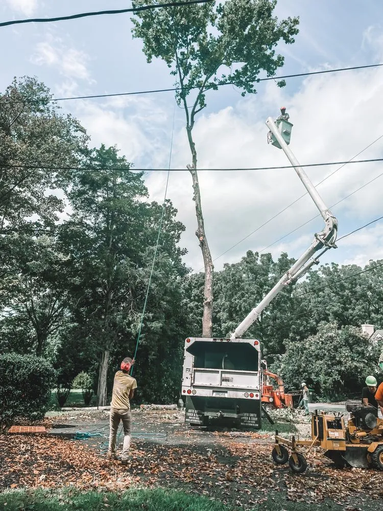 Custom outdoor landscaping for residential properties across Front Royal, VA - Johnson's Tree and Outdoor Services
