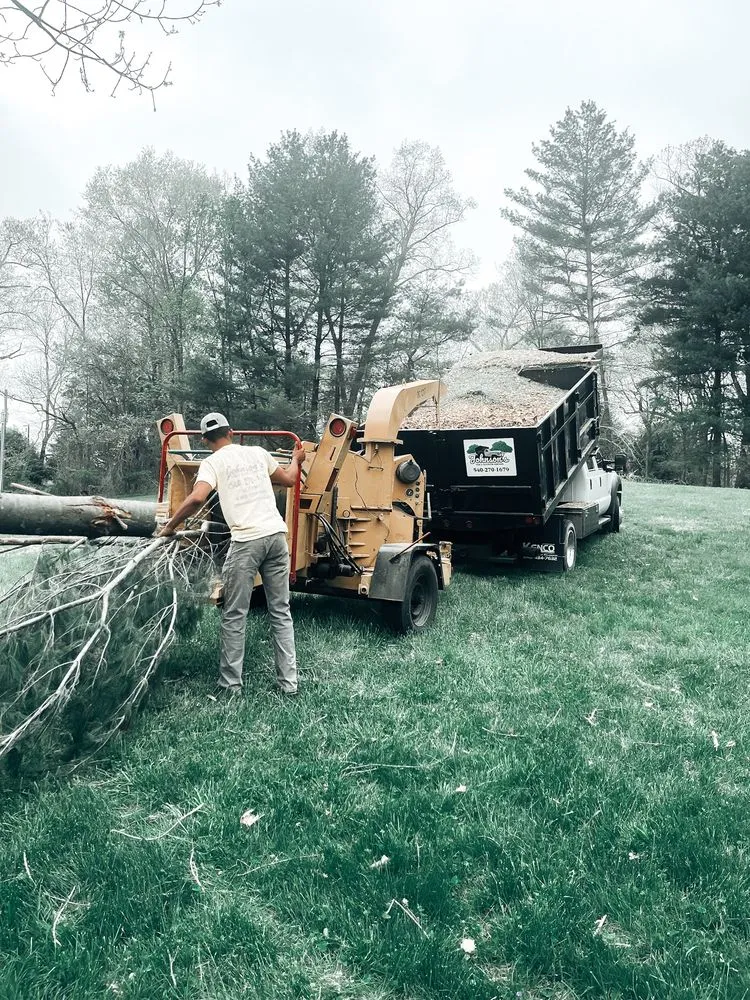 Reliable lawn mowing service in Front Royal, VA - Johnson's Tree and Outdoor Services