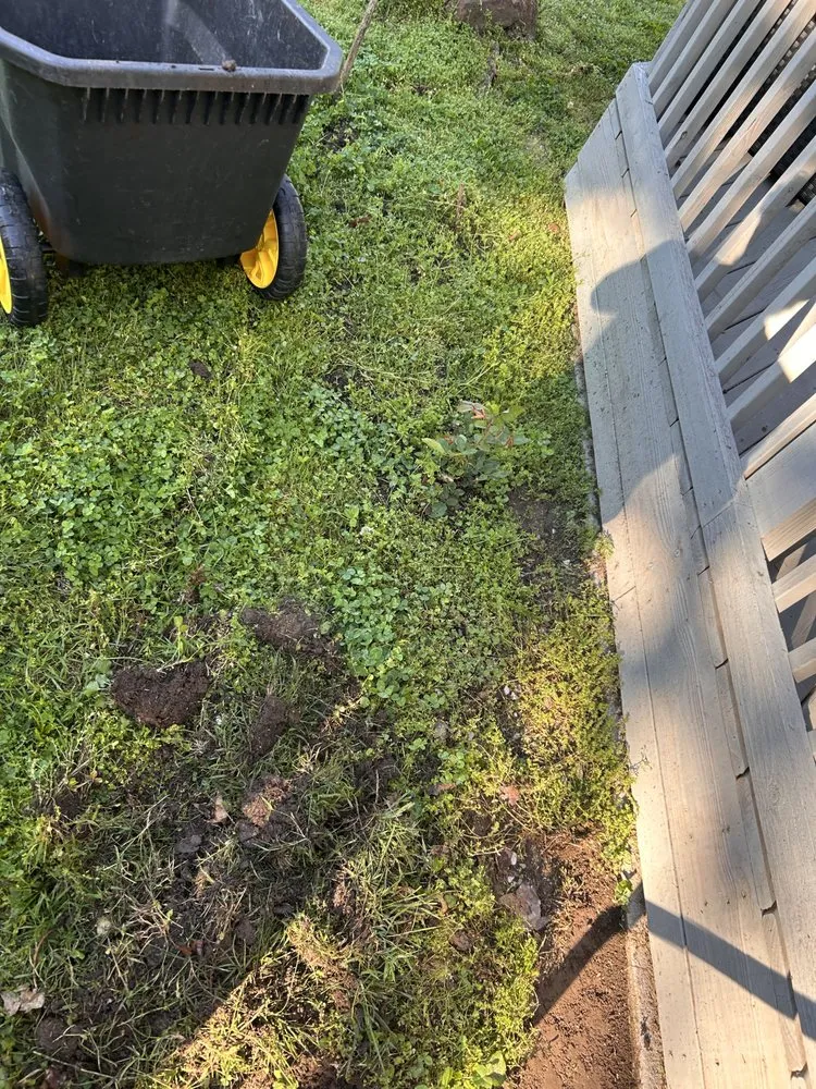 Trusted yard maintenance in Joplin, MO by JohnsonWorks