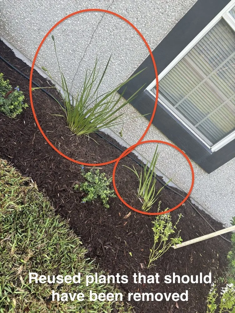 Custom residential landscaping for year-round maintenance in Jacksonville, FL by Johnston & Associates Land and Water Creations