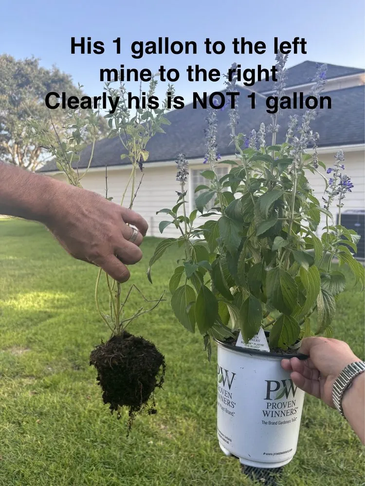 Affordable lawn care service for outdoor upgrades across Jacksonville, FL - Johnston & Associates Land and Water Creations