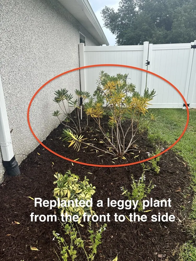 Reliable landscaping services experts serving Jacksonville, FL - Johnston & Associates Land and Water Creations