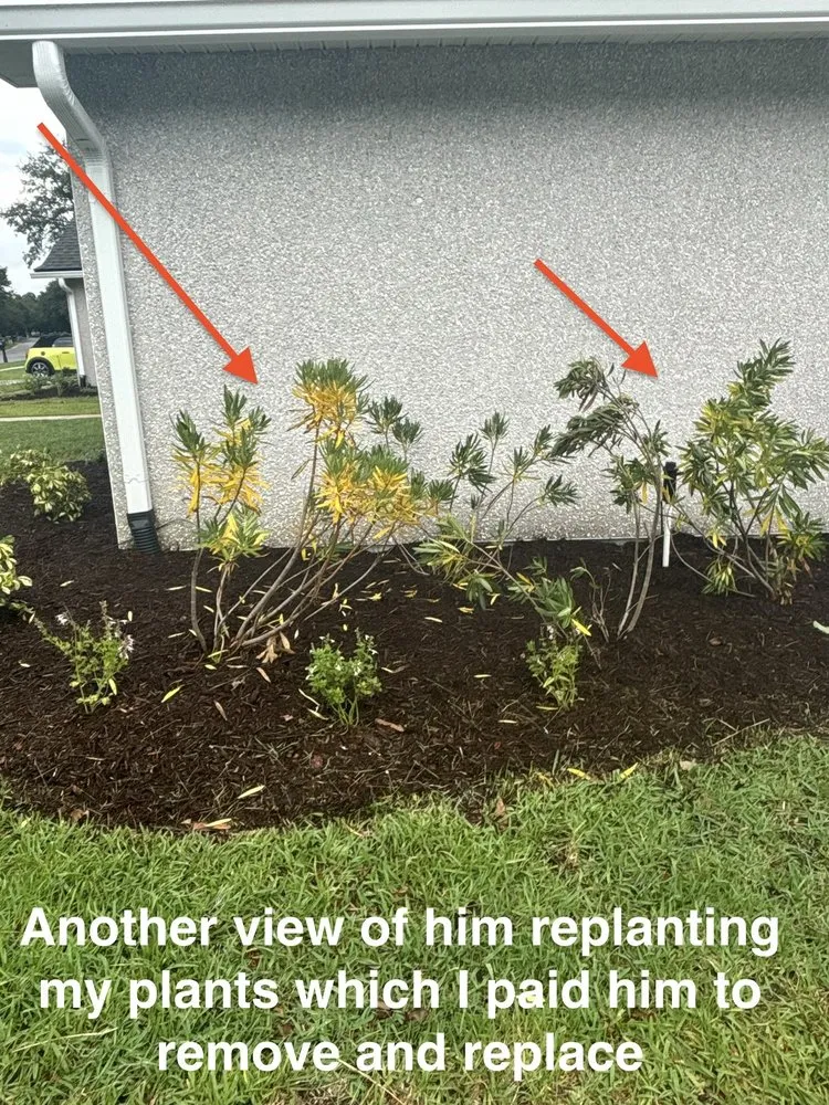 Trusted lawn mowing service in Jacksonville, FL by Johnston & Associates Land and Water Creations