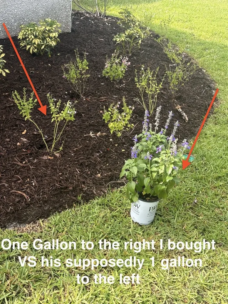 Trusted outdoor landscaping for beautiful yards in Jacksonville, FL by Johnston & Associates Land and Water Creations