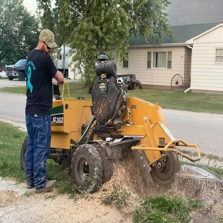 Affordable outdoor landscaping in Blakesburg, IA - Johnston Stump Grinding