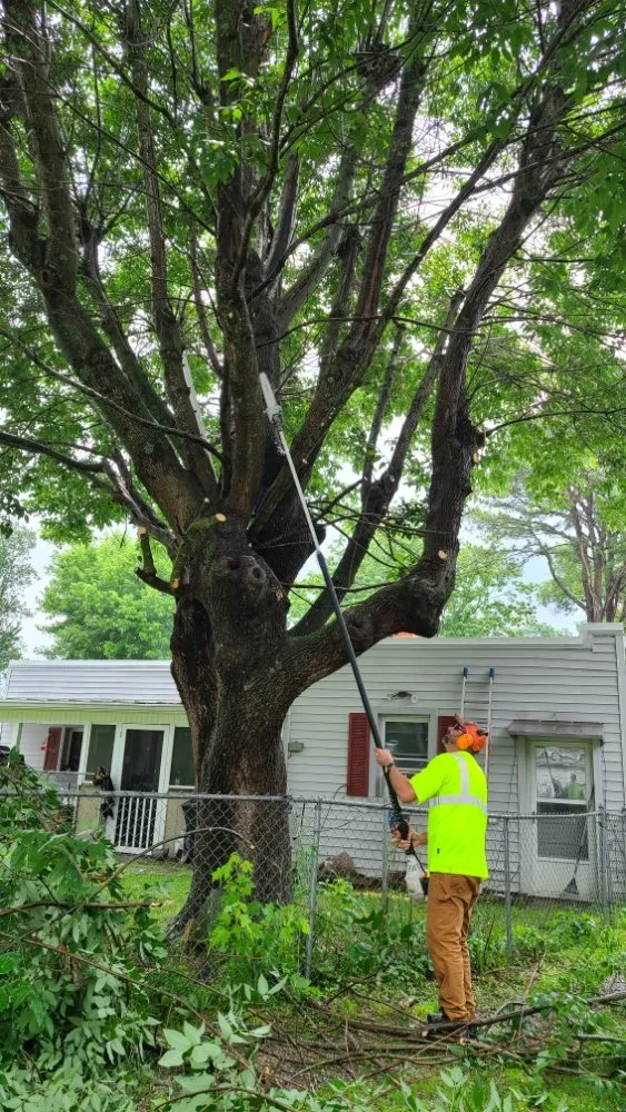 Top-rated outdoor landscaping in Blacksburg, VA by Johnston Tree Service