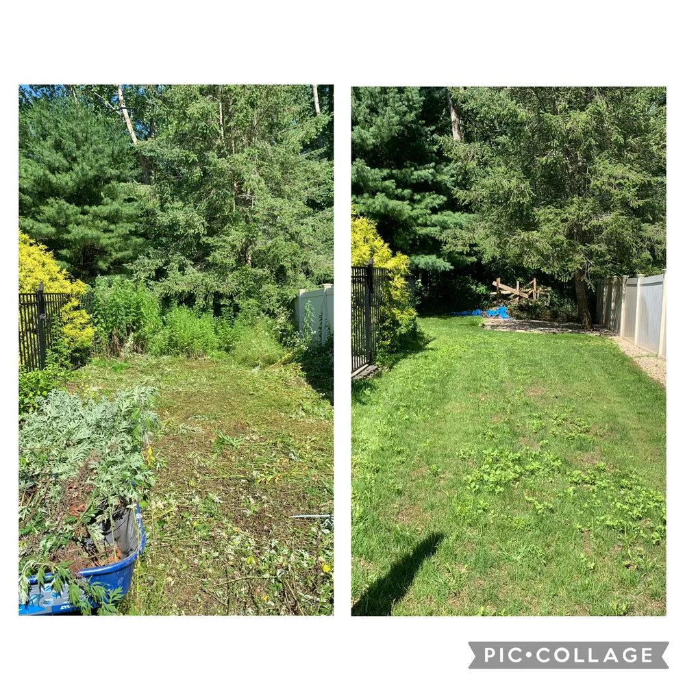 Affordable lawn care service for residential properties across Plantsville, CT - Johnstone Services