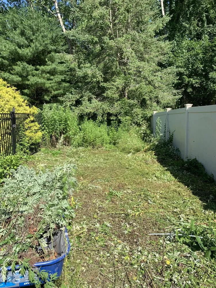 Expert landscape design experts serving Plantsville, CT - Johnstone Services