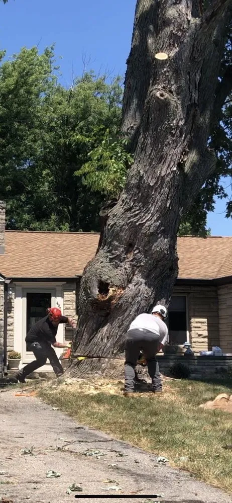 Affordable landscape installation in Indianapolis, IN by Johnston’s Outdoor Solutions