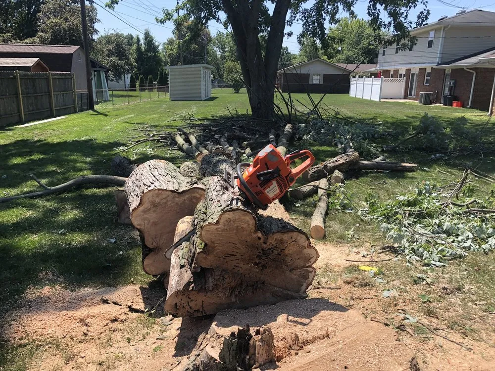 Reliable landscaping services in Indianapolis, IN by Johnston’s Outdoor Solutions