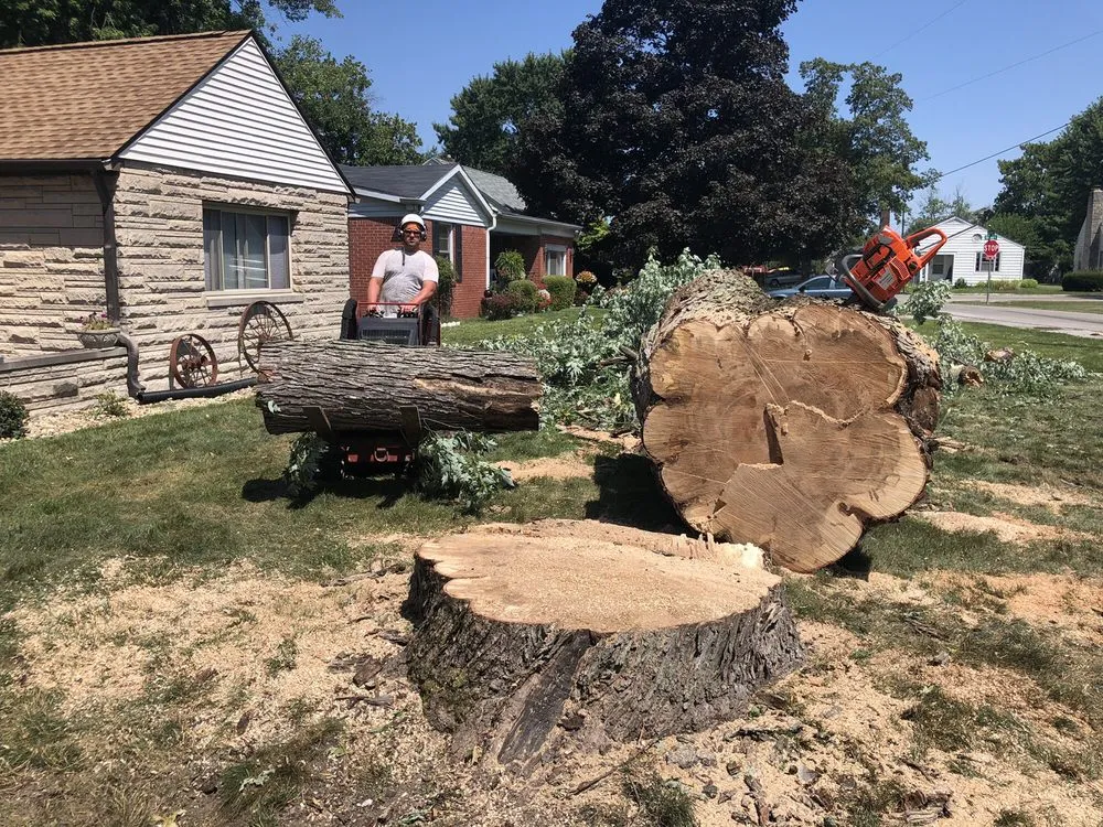 Local lawn care service in Indianapolis, IN - Johnston’s Outdoor Solutions