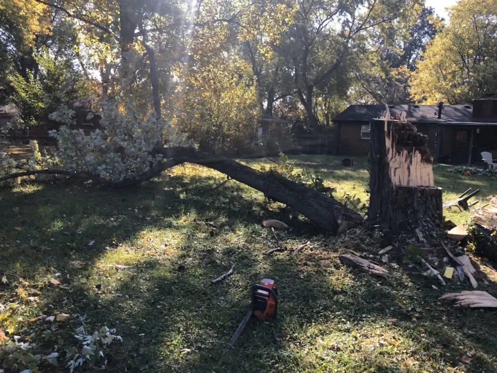 Affordable outdoor landscaping in Indianapolis, IN by Johnston’s Outdoor Solutions