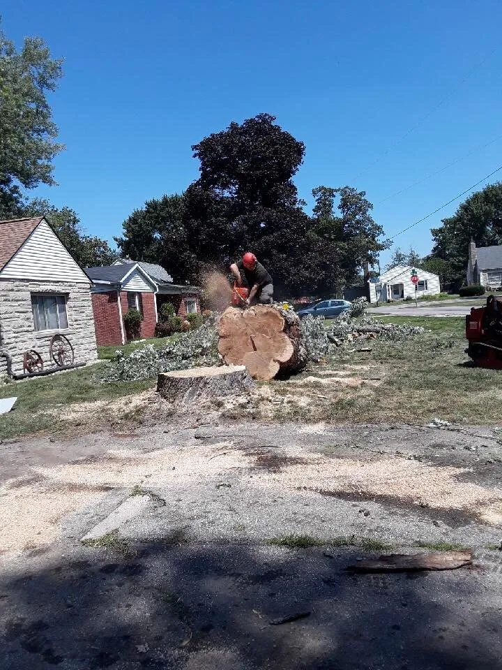 Custom outdoor landscaping in Indianapolis, IN by Johnston’s Outdoor Solutions