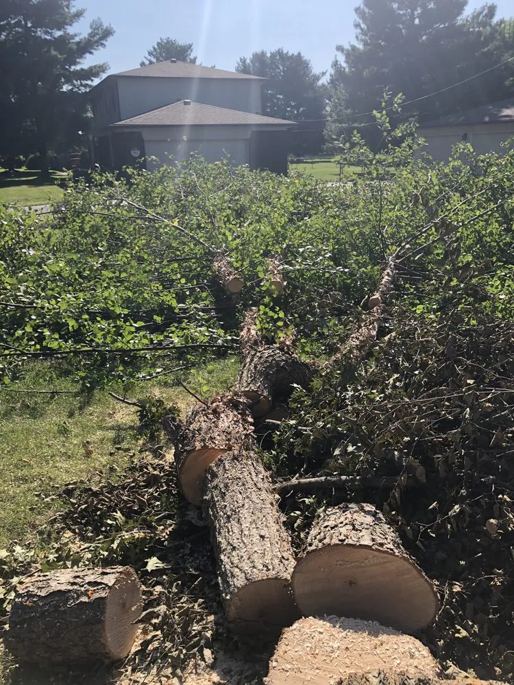 Expert landscape installation with custom design across Indianapolis, IN - Johnston’s Outdoor Solutions