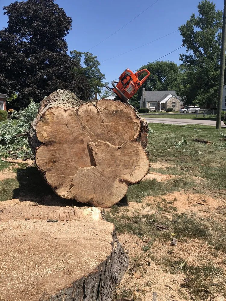 Professional residential landscaping experts serving Indianapolis, IN - Johnston’s Outdoor Solutions