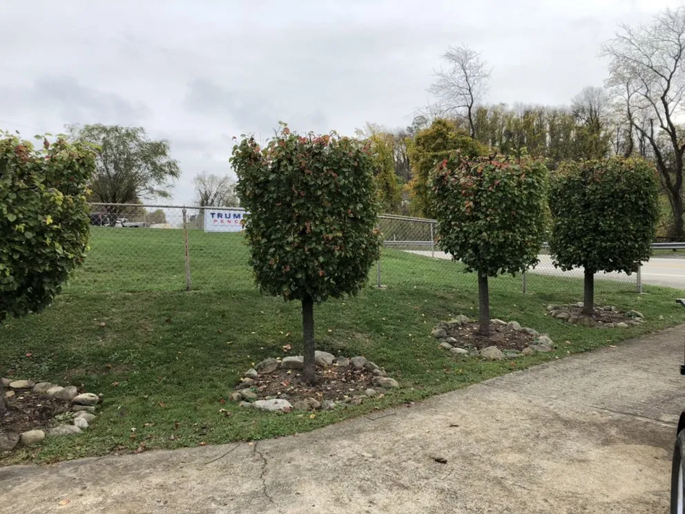 Expert residential landscaping for residential properties in Masontown, PA by Johnston's Professional Services