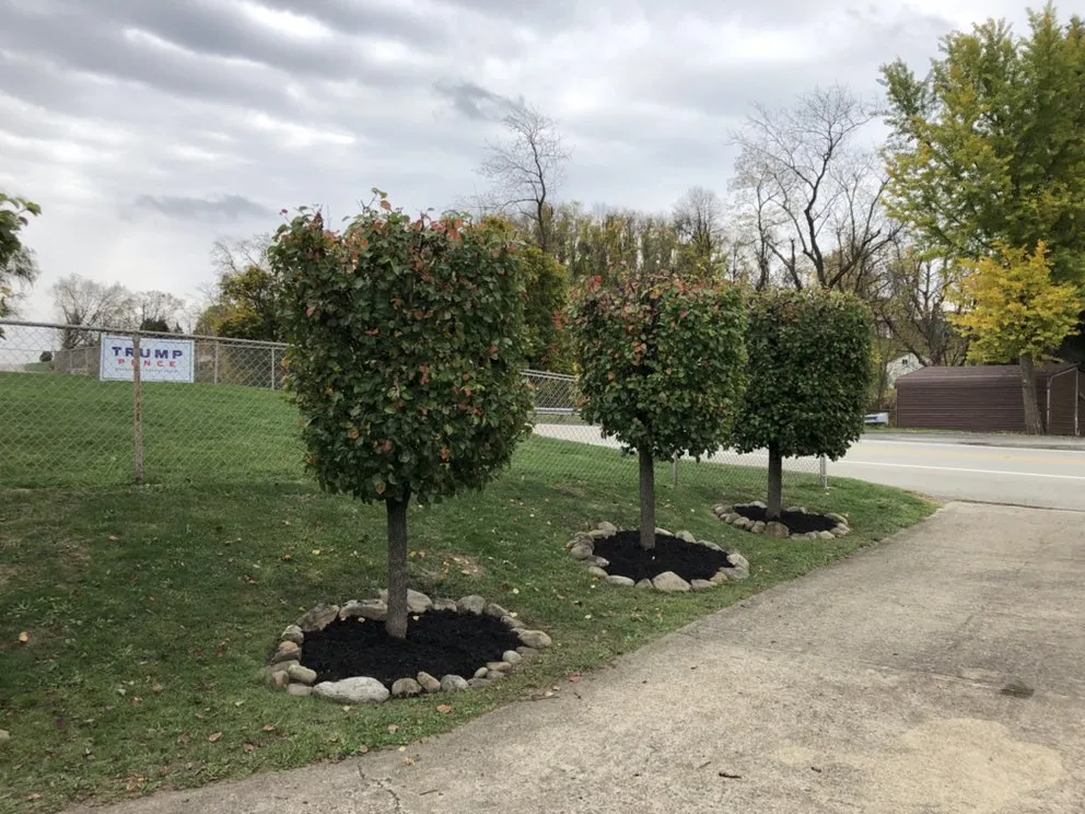 Professional garden landscaping for beautiful yards across Masontown, PA - Johnston's Professional Services