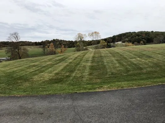 Johnston's Professional Services