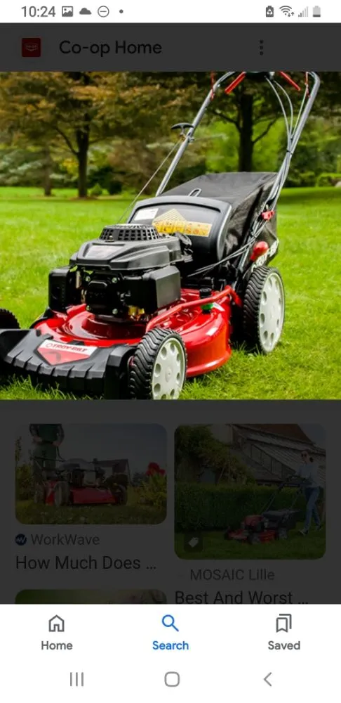 Professional yard maintenance for beautiful yards in Tillamook, OR by Johnys Buisness