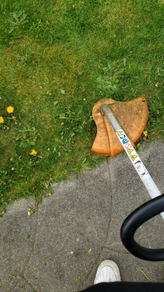 Professional lawn mowing service in Tillamook, OR by Johnys Buisness