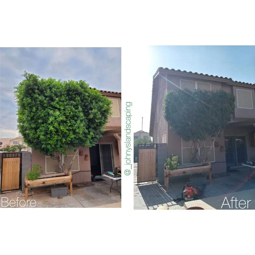 Local garden landscaping in Avondale, AZ by Johnys Landscaping