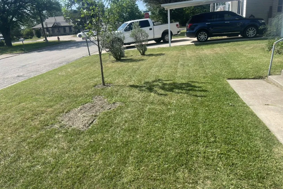Reliable garden landscaping in WHT SETTLEMT, TX - Joiners Lawn Service