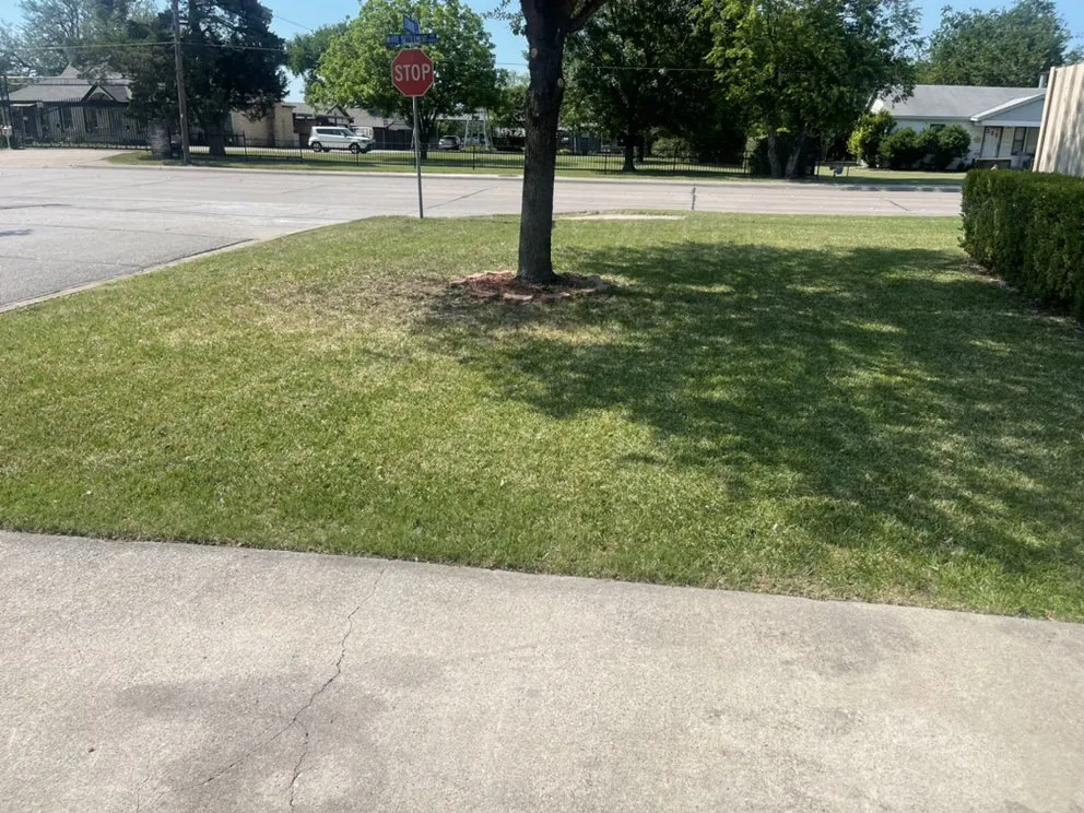Professional landscaping services experts serving WHT SETTLEMT, TX - Joiners Lawn Service