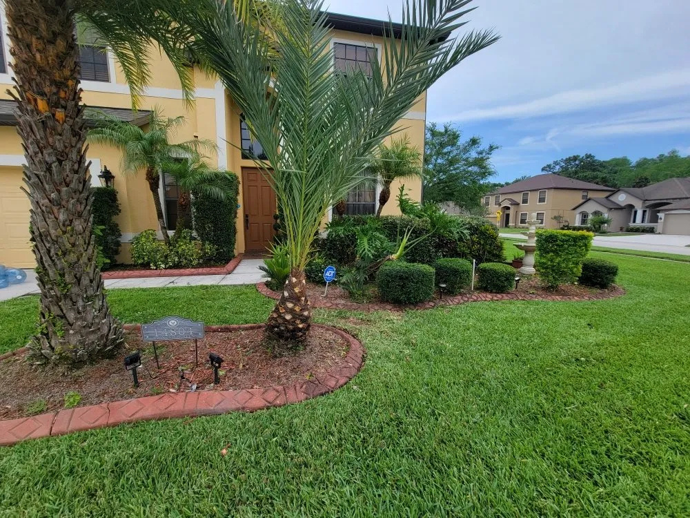 Local yard maintenance with custom design across Zephyrhills, FL - joiners property maintenance