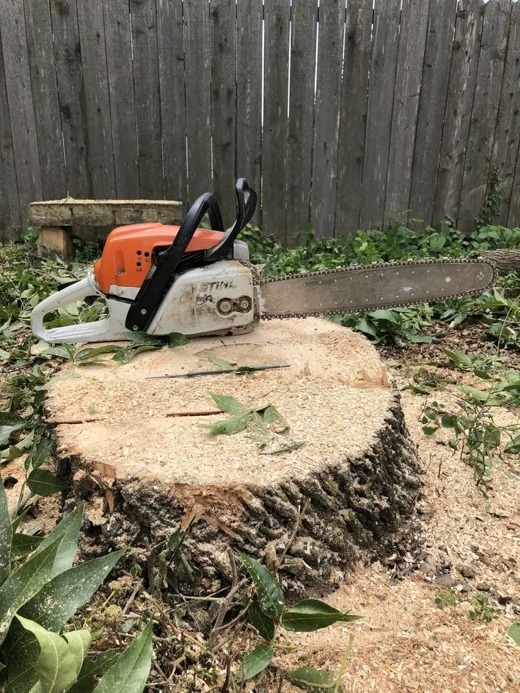 Trusted lawn care service for residential properties across Haysville, KS - JoJacs