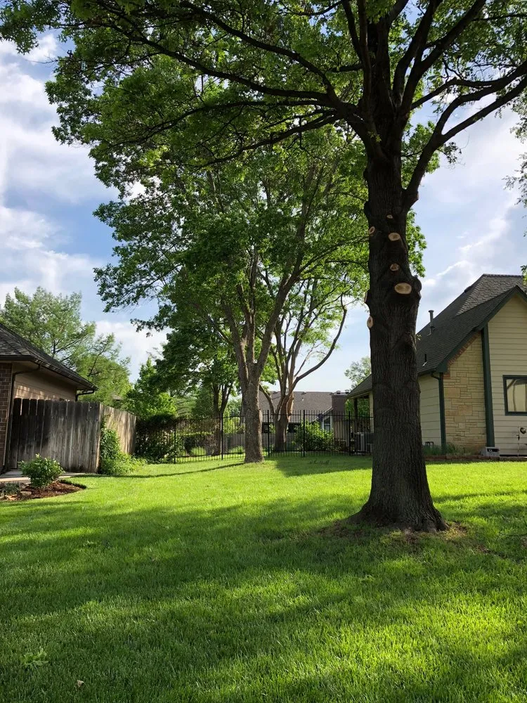 Top-rated outdoor landscaping in Haysville, KS by JoJacs