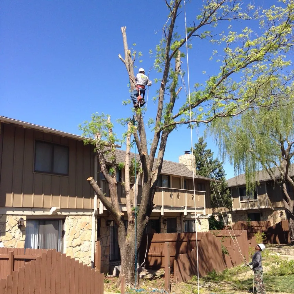 Local outdoor landscaping near you in Haysville, KS by JoJacs