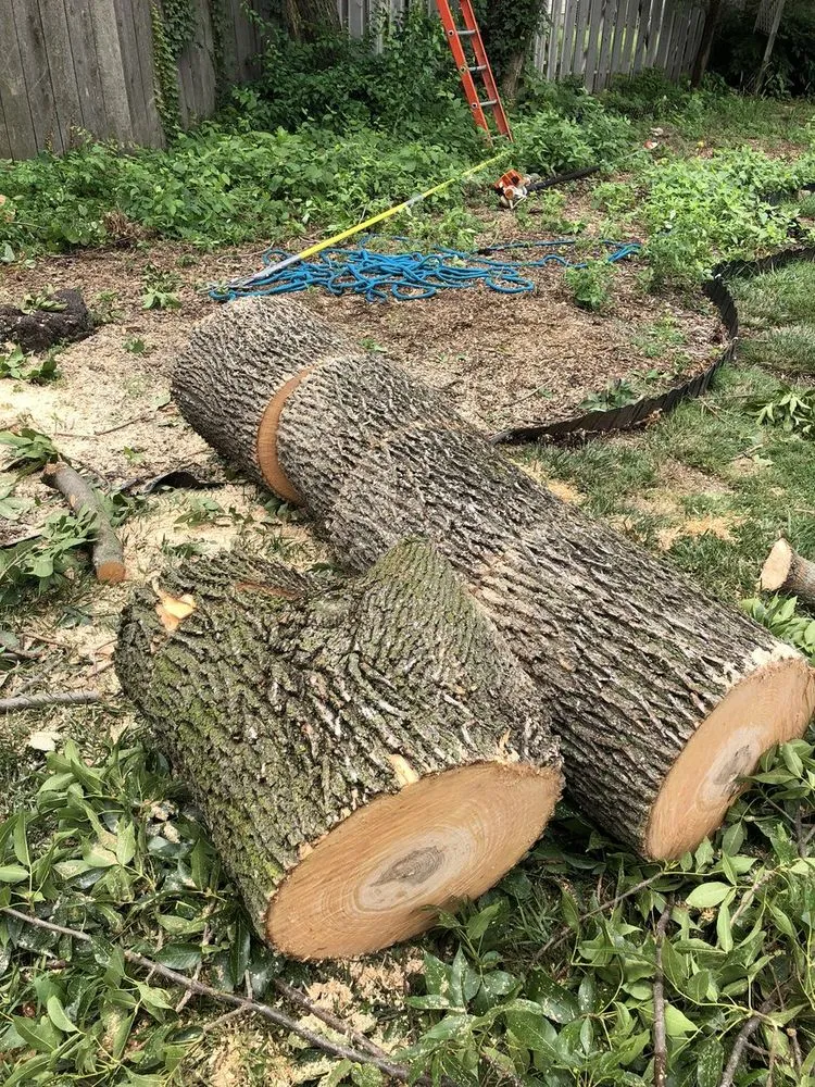 Expert garden landscaping in Haysville, KS by JoJacs