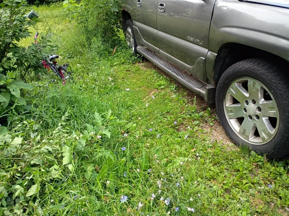 Trusted lawn mowing service experts serving Kalamazoo, MI - Jojo and John's Handyman Service