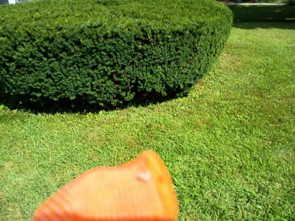 Affordable residential landscaping in Kalamazoo, MI - Jojo and John's Handyman Service