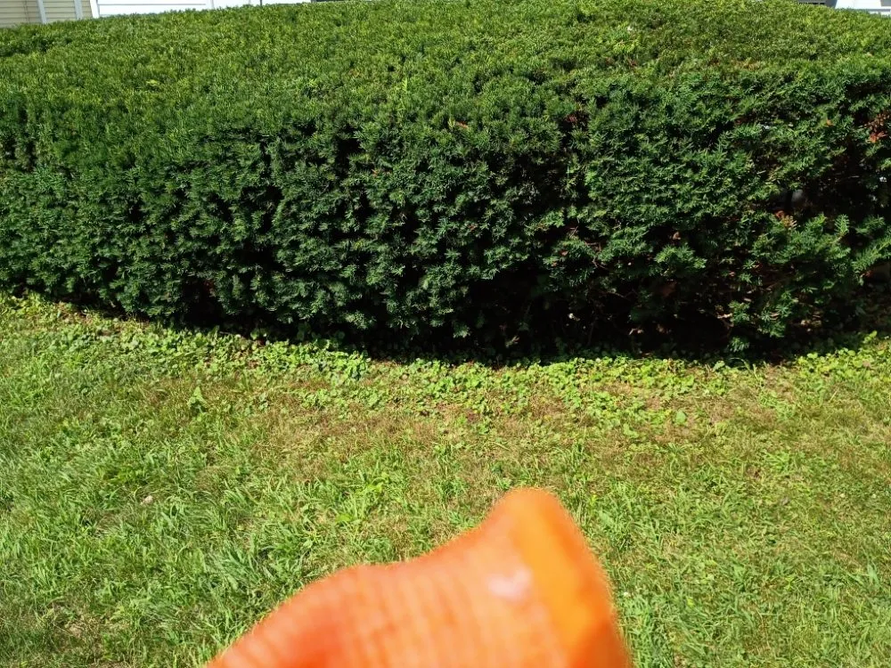 Professional outdoor landscaping with custom design in Kalamazoo, MI by Jojo and John's Handyman Service