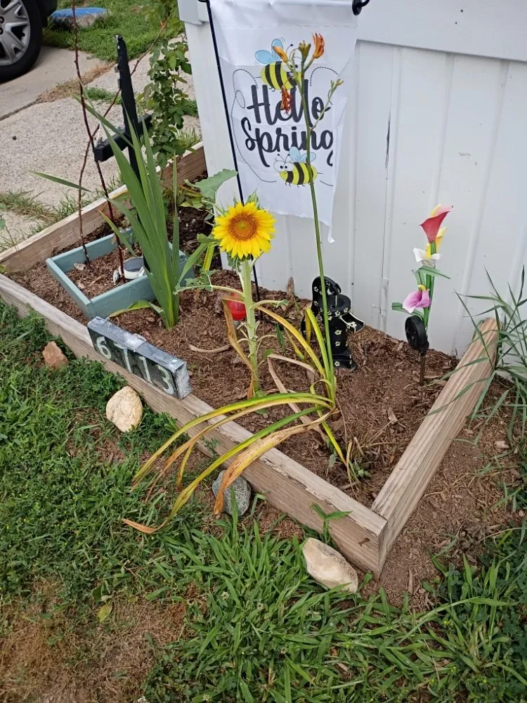 Professional yard maintenance experts serving Kalamazoo, MI - Jojo and John's Handyman Service