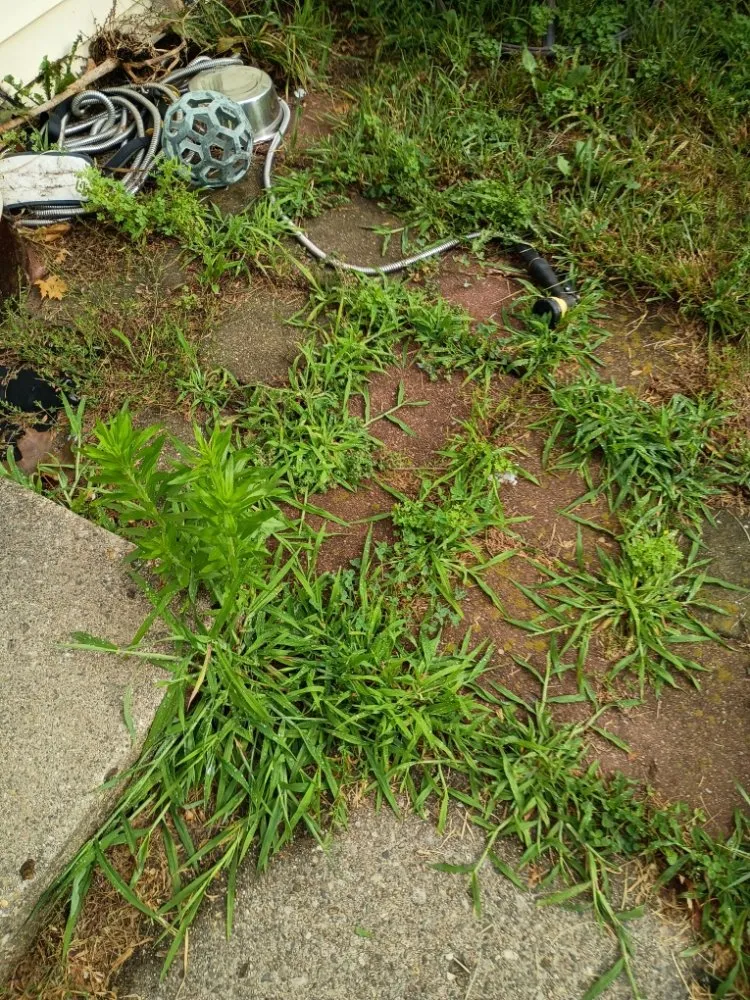 Reliable garden landscaping experts serving Kalamazoo, MI - Jojo and John's Handyman Service