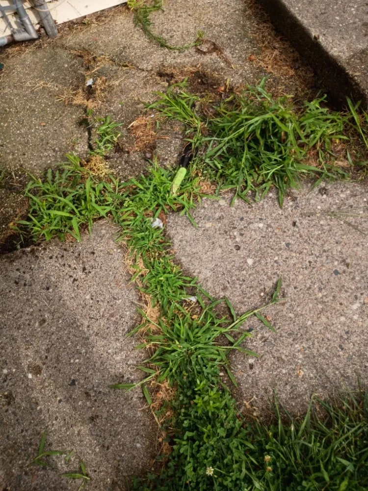 Expert garden landscaping experts serving Kalamazoo, MI - Jojo and John's Handyman Service