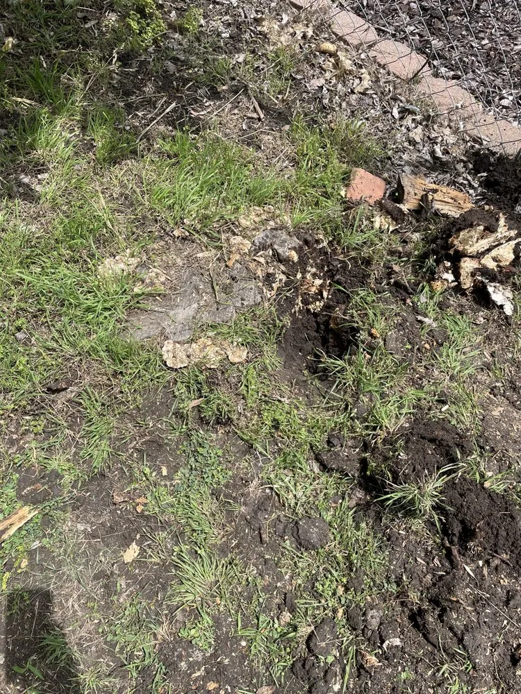 Local lawn mowing service near you across Anna, TX - Jojo's Landscape & Irrigation