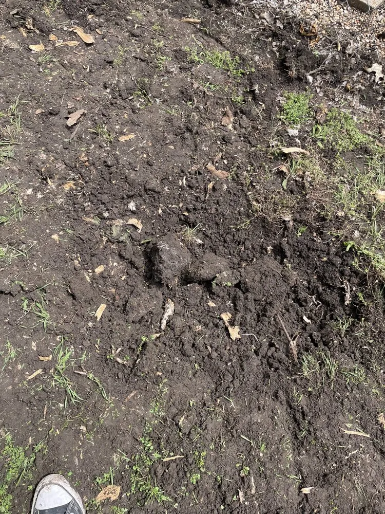 Affordable landscape installation for year-round maintenance in Anna, TX by Jojo's Landscape & Irrigation