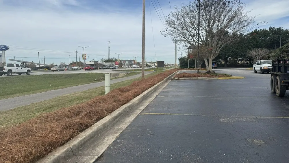Top-rated yard maintenance for year-round maintenance in Foley, AL by JoJo's Pine Straw