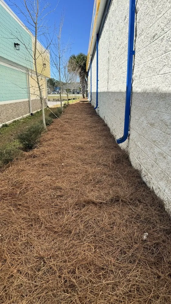 Top-rated outdoor landscaping for year-round maintenance in Foley, AL by JoJo's Pine Straw