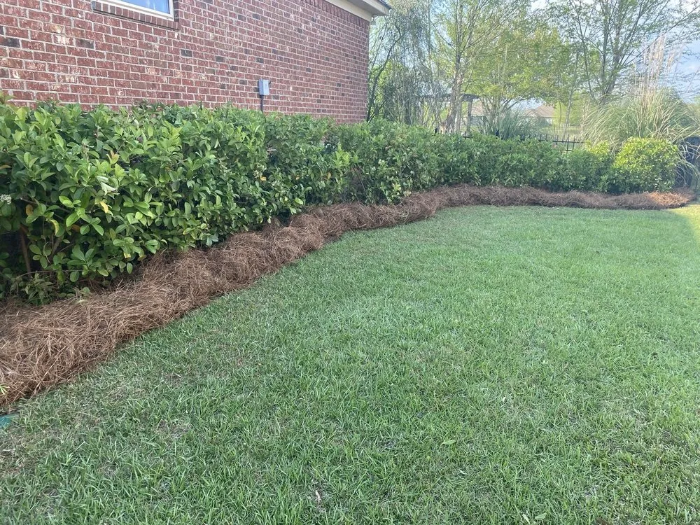 Local residential landscaping experts serving Foley, AL - JoJo's Pine Straw