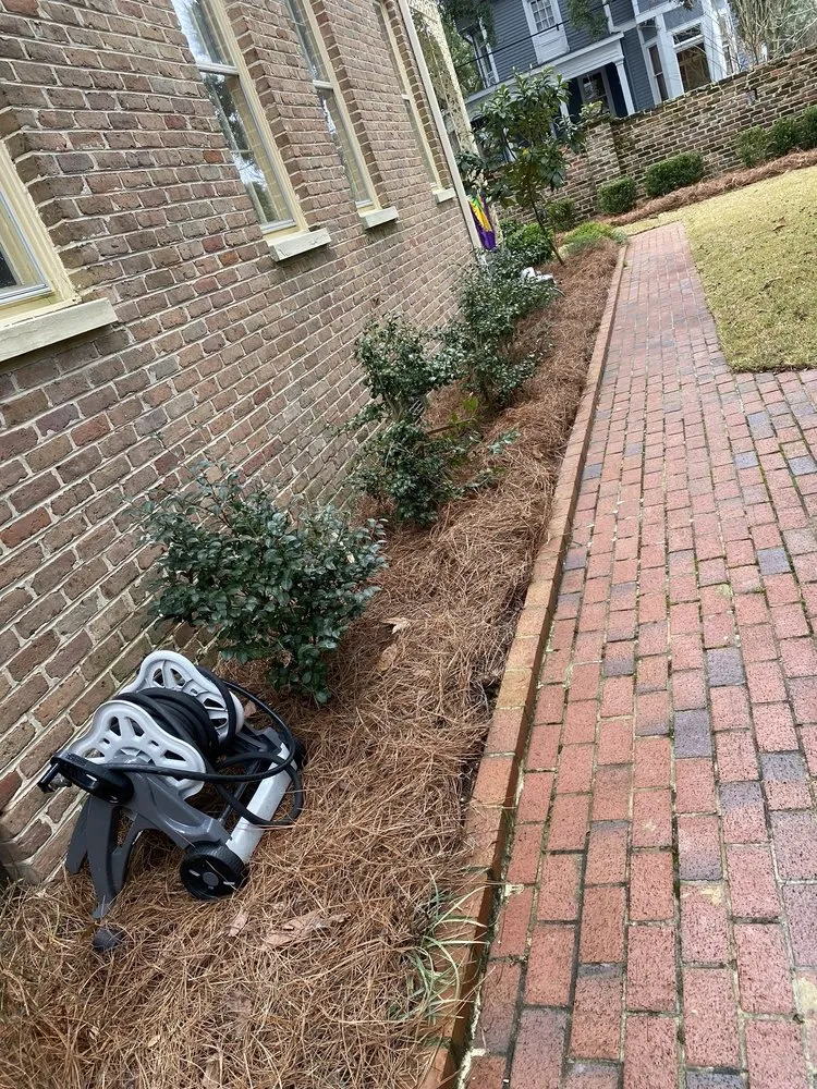 Top-rated yard cleanup service in Foley, AL - JoJo's Pine Straw