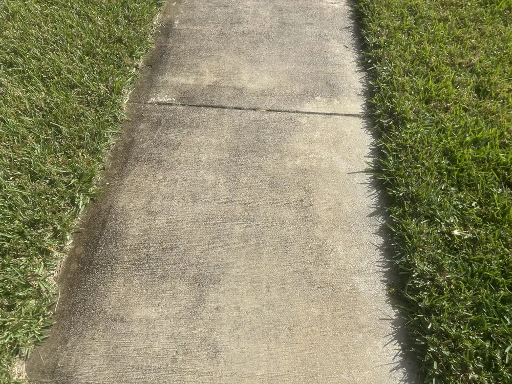 Expert landscape installation in Port St. Lucie, FL - Jojo’s Pressure washing