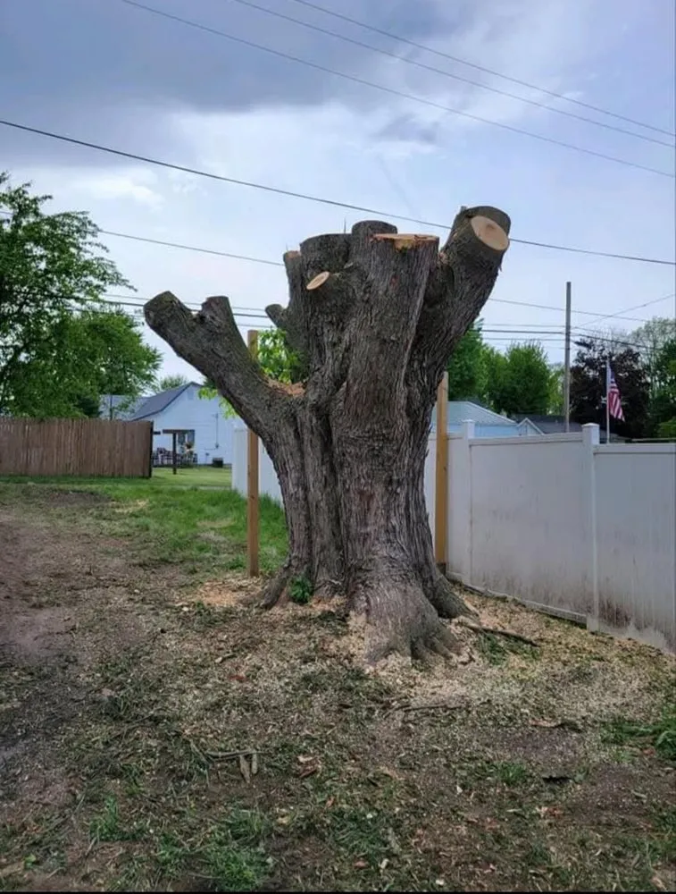 Professional outdoor landscaping in Raymond, OH by JOLI Lawn and Tree