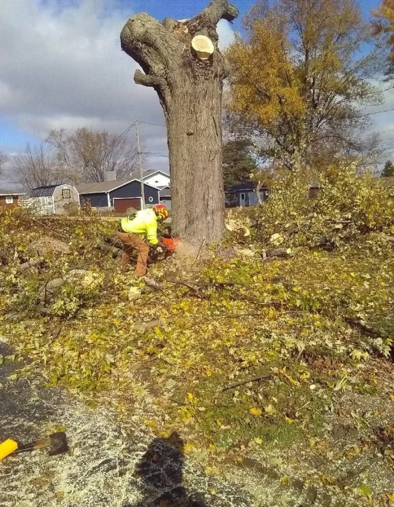 Affordable outdoor landscaping for outdoor upgrades in Raymond, OH by JOLI Lawn and Tree